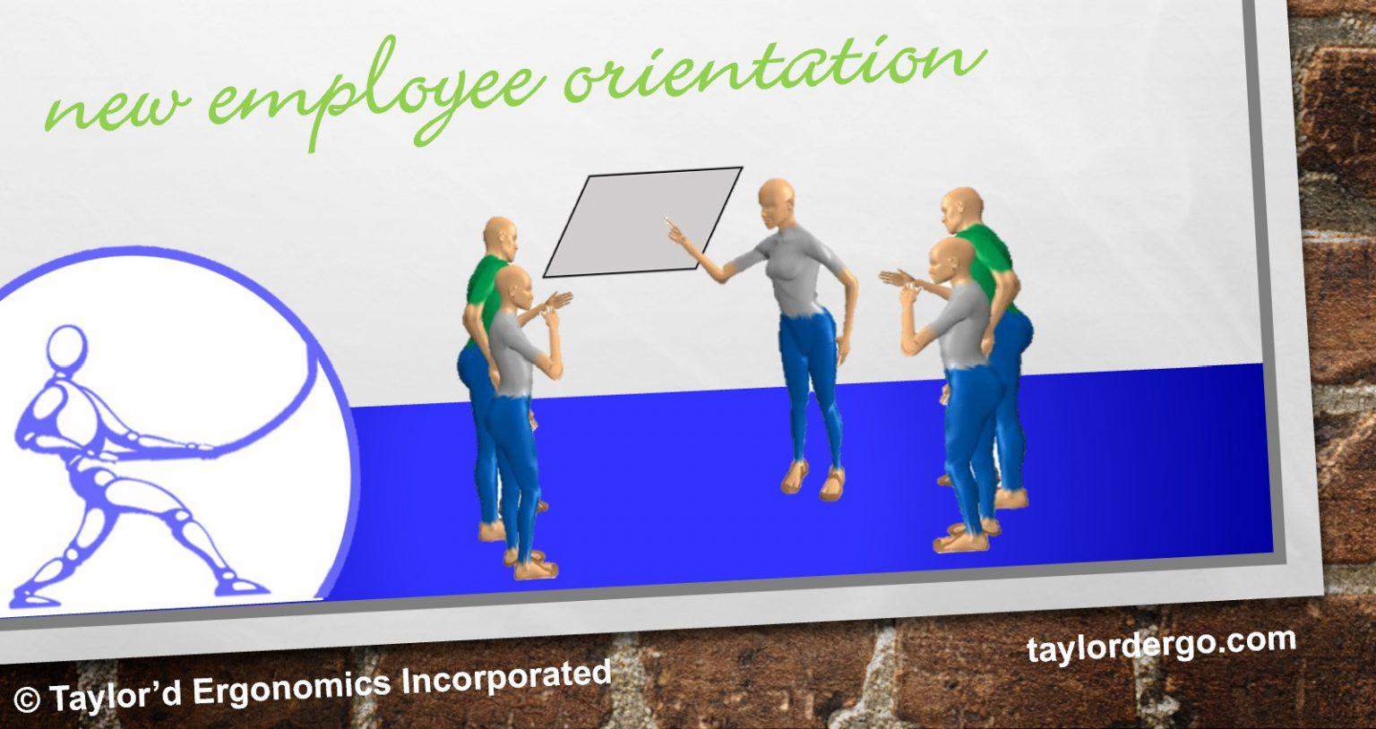 hiring-what-should-orientation-include-about-ergonomics-taylor-d